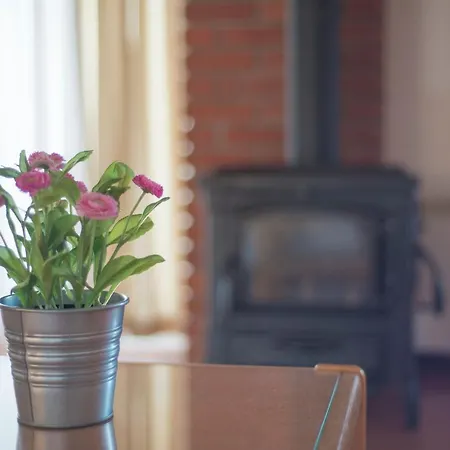 Vilma Apartment *