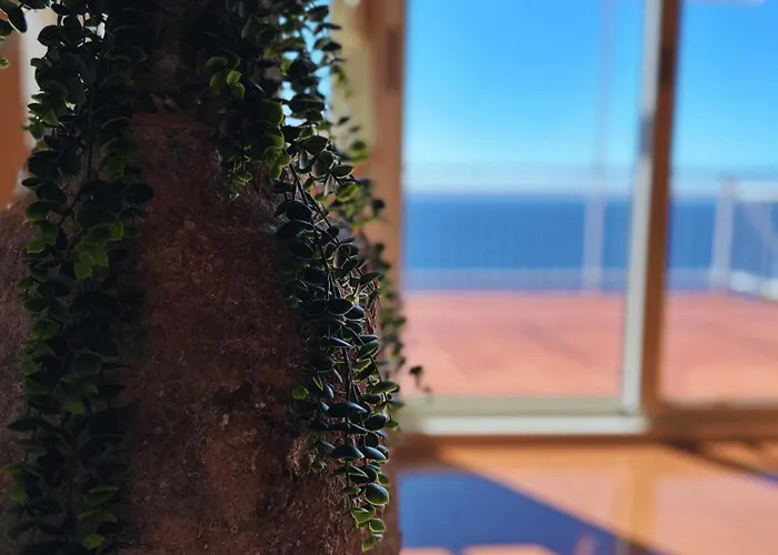 Vilma Apartamento Murter